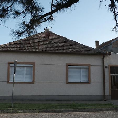 Appartement Nikodijevic à Vrsac Extérieur photo