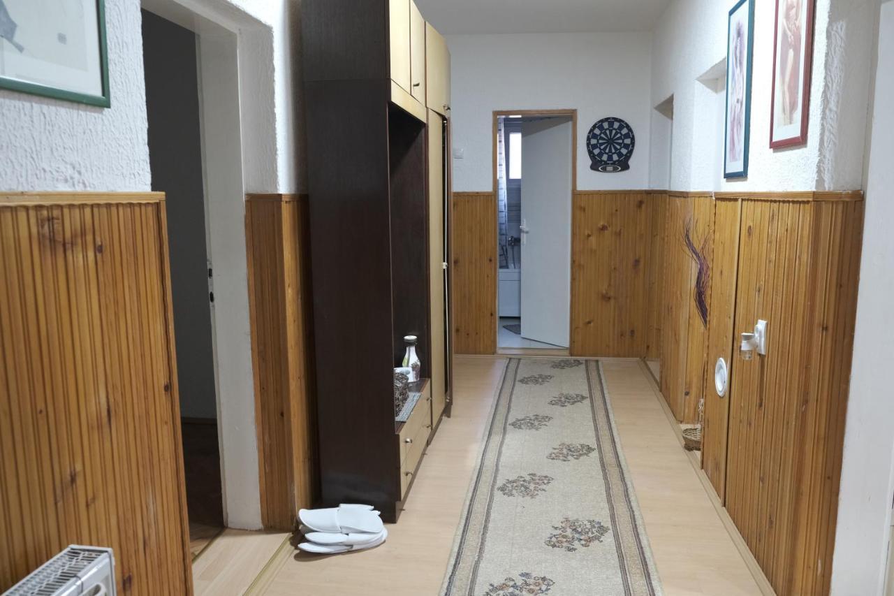 Appartement Nikodijevic à Vrsac Extérieur photo