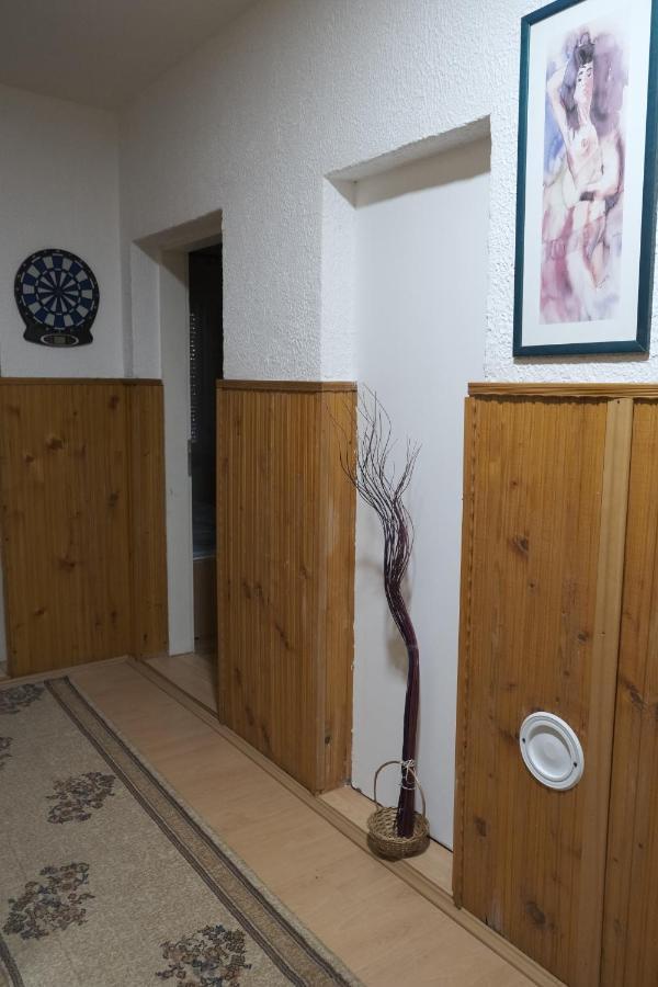 Appartement Nikodijevic à Vrsac Extérieur photo
