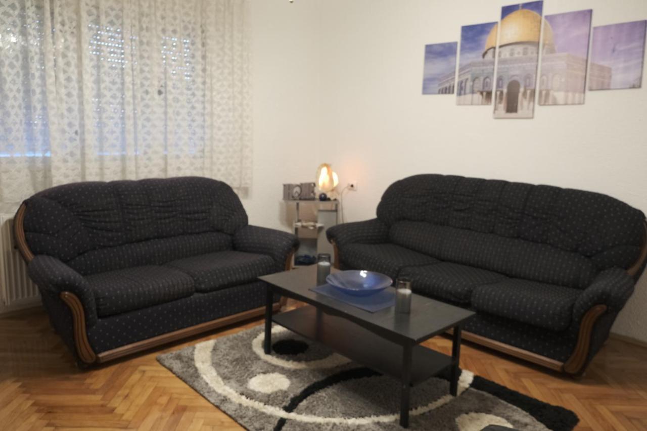 Appartement Nikodijevic à Vrsac Extérieur photo